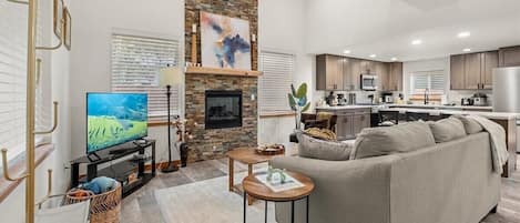 Smart TV, fireplace, books