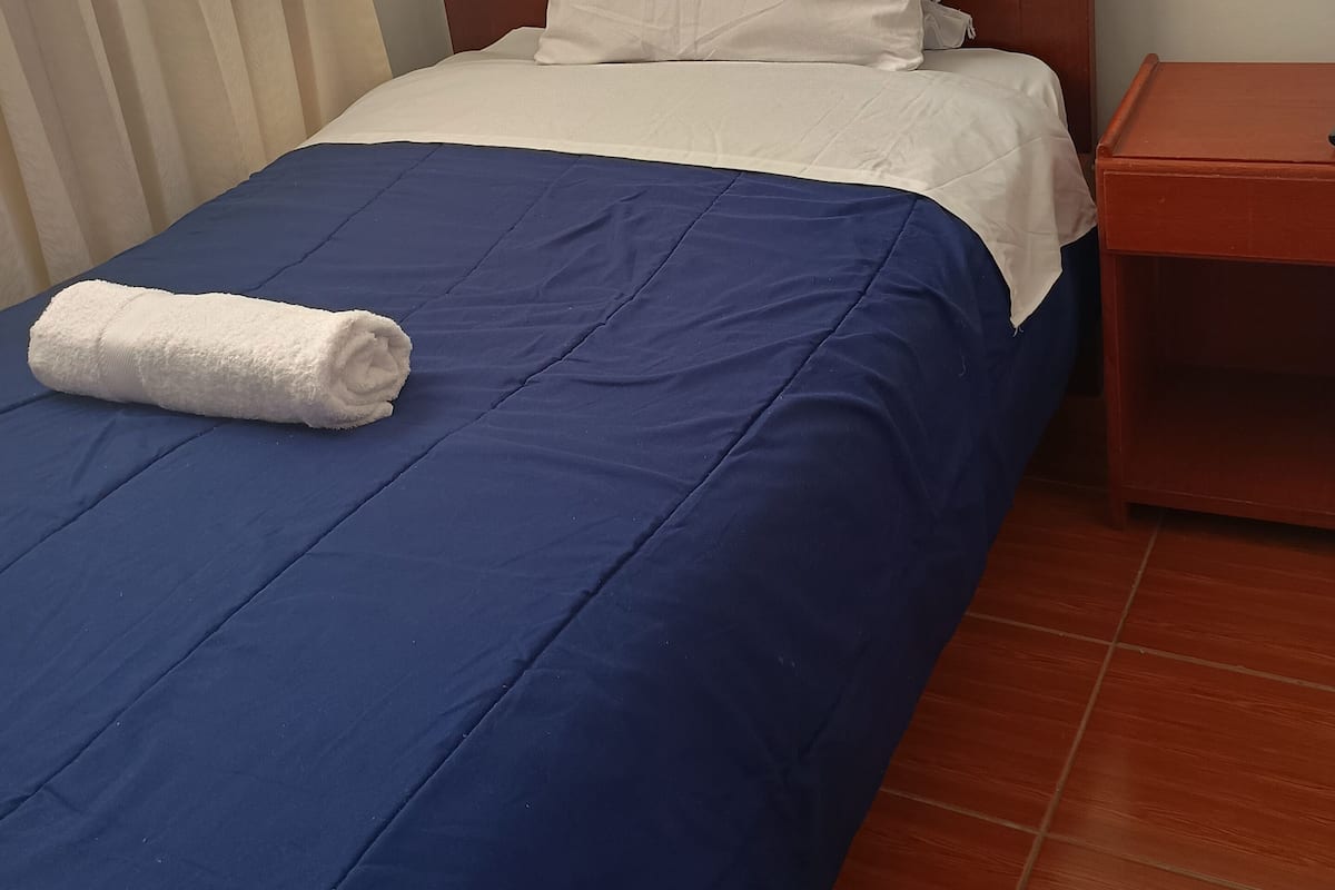 Standard Single Room, 1 Large Twin Bed | WiFi (free), bed sheets