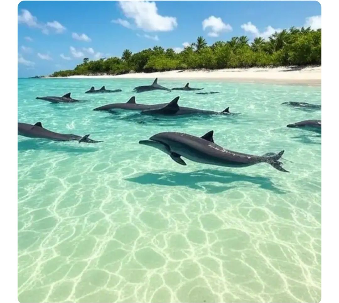 Una playa cerca