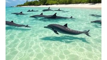 Una playa cerca