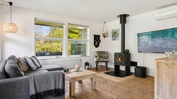 Télévision, cheminée