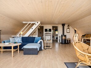 TV, fireplace, DVD player