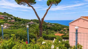 A coastal landscape with a prominent tree, a pink building, and a clear view of the sea. - Tra il Borgo e il Mare-Bel Horizonte - Tra il Borgo e il Mare - Bel Horizonte (Capoliveri)