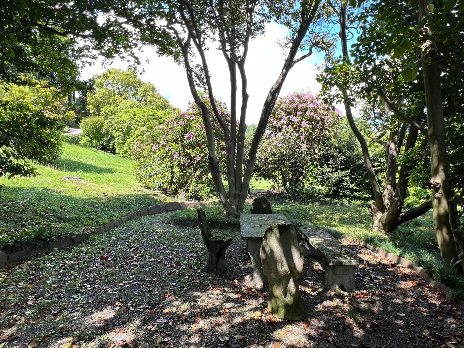 Parco della struttura