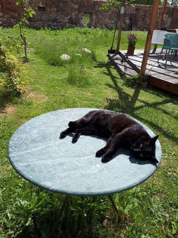 A black cat lying on a round table in a grassy outdoor area with a stone wall and a wooden deck in the background.