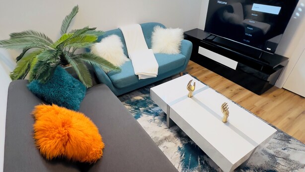 Een moderne woonkamer met een bank, een salontafel, een televisie en een potplant.