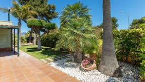 Un jardin agrémenté d’un palmier, d’un arbuste taillé avec soin et d’une terrasse carrelée.