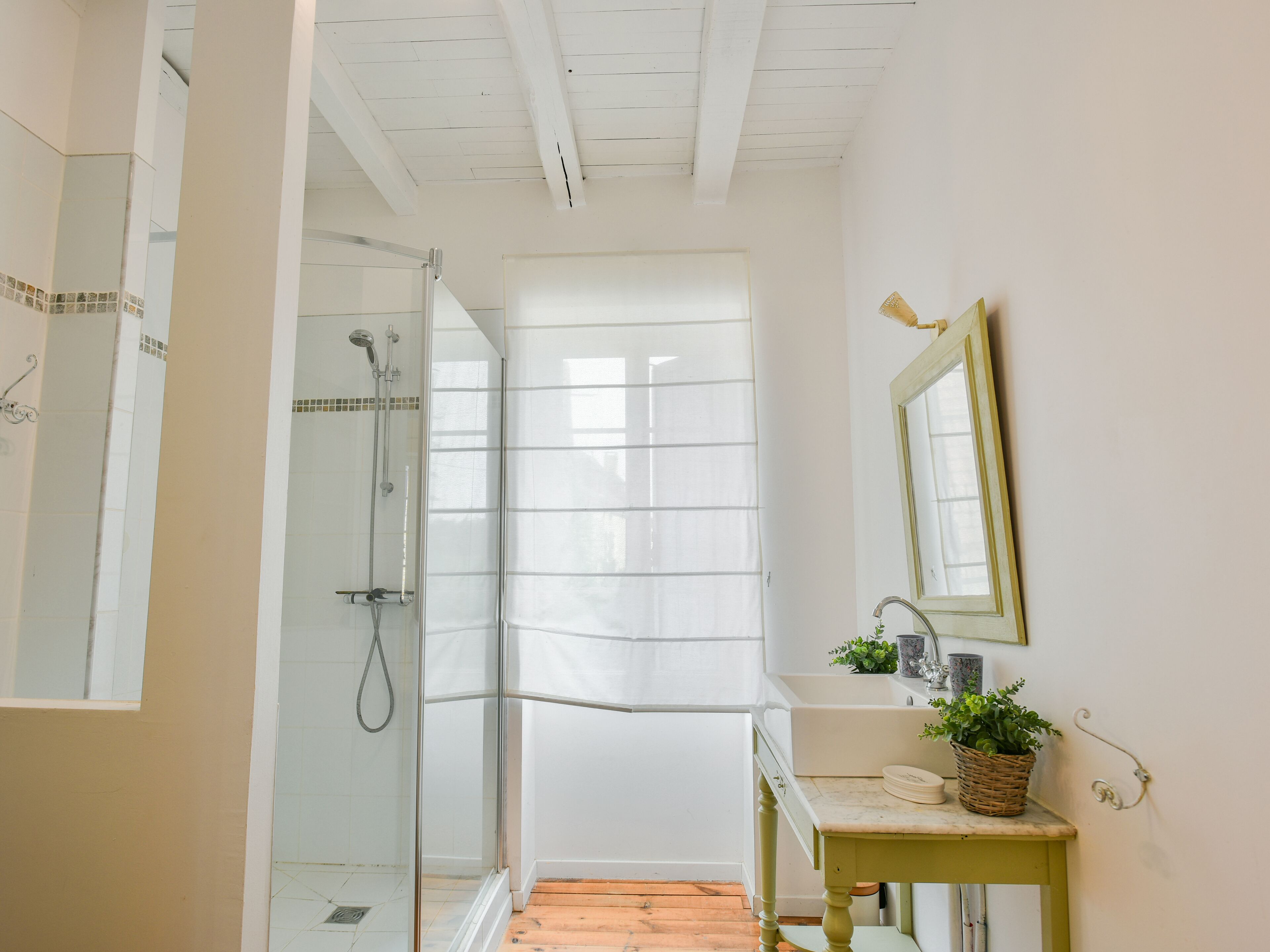 A bathroom with a shower, a sink with a mirror, and a small table with a plant.