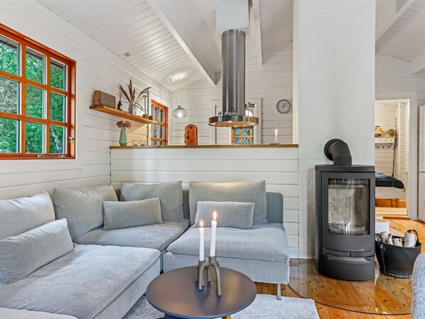 Televisión y chimenea 