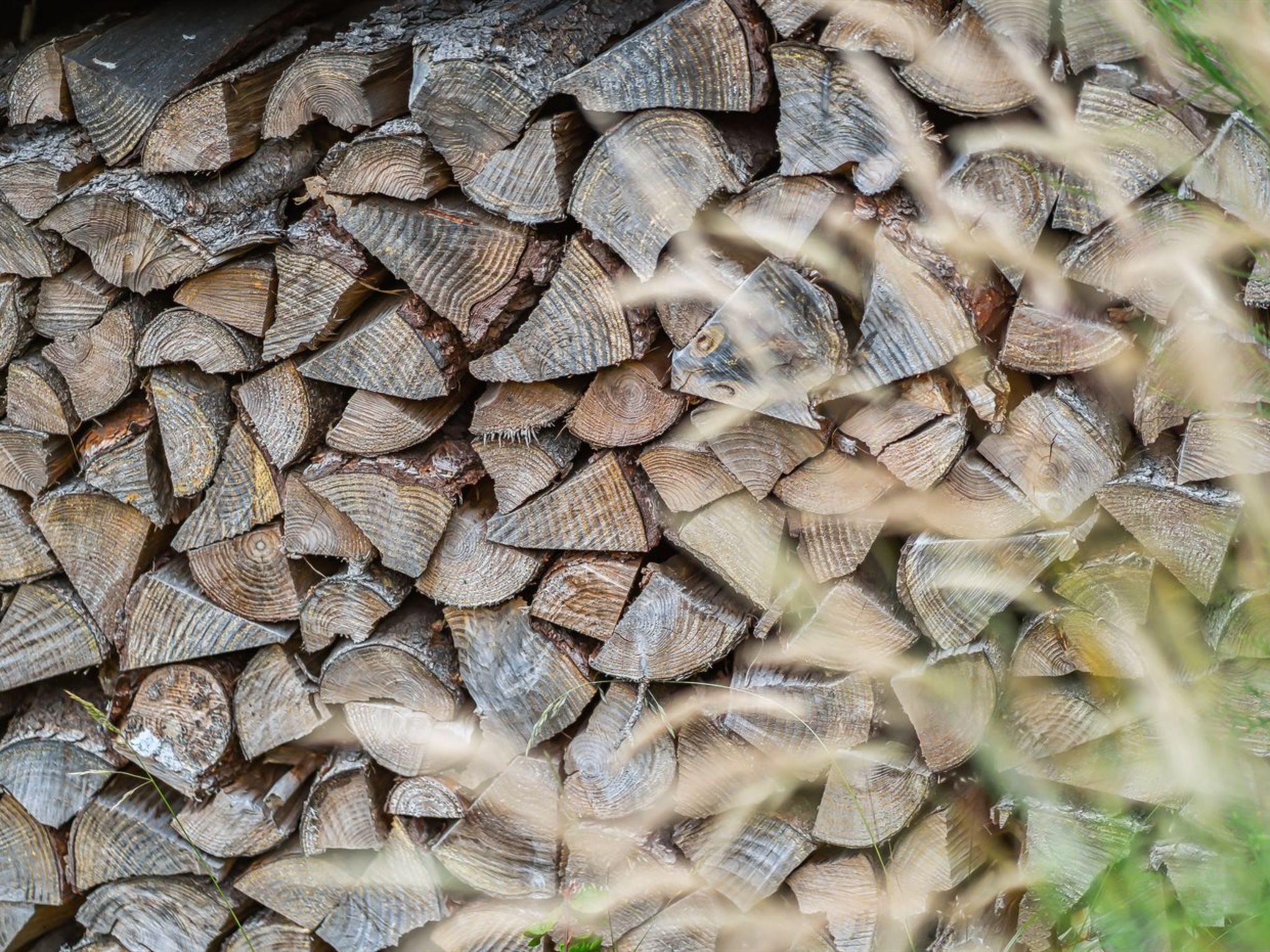A stack of cut logs.
