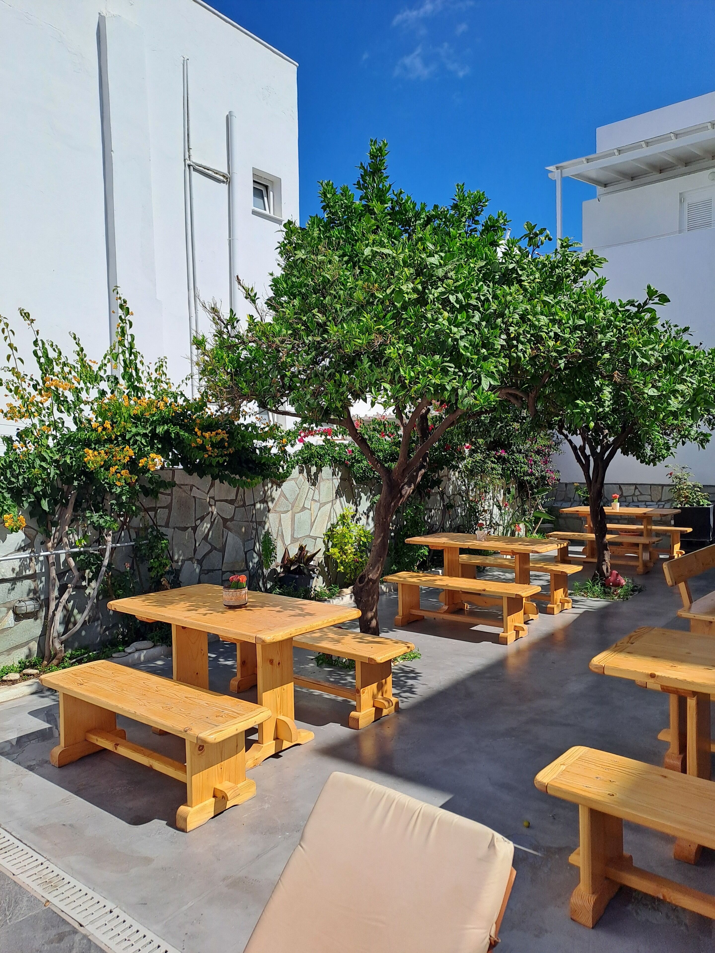 An outdoor seating area with wooden tables and benches, surrounded by greenery and a stone wall.