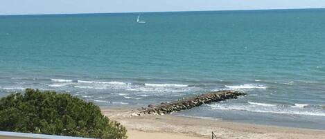 Vista de una playa con un espigón rocoso, un velero y un árbol en primer plano.