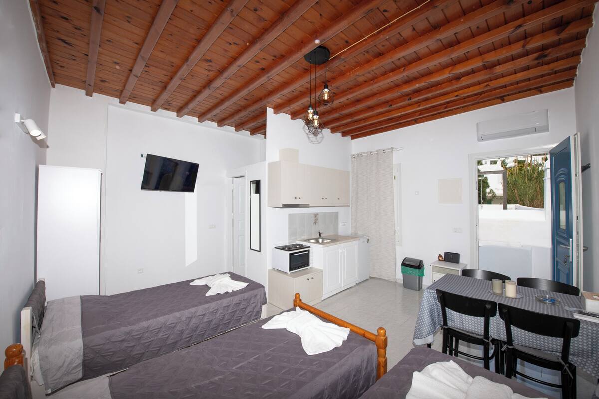 Un dormitorio con dos camas, un kitchenette, una zona de comedor y un baño.