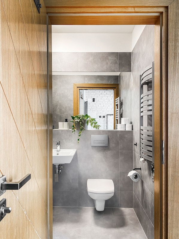 Hair dryer, towels, toilet paper