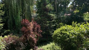 Un jardin luxuriant, agrémenté de divers arbres et arbustes, dont un arbre remarquable aux feuilles rouges et un buisson dense et verdoyant.