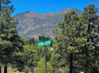 Tranquil Retreat In the Pines w/Mountain Views! Updated 1 Bed 1 Bath