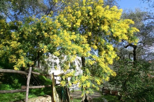 Casa Bianca Comfortable holiday residence