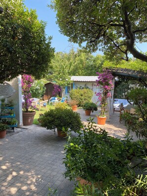 Terrace/patio - 4 Bedroom Private vacation home in Forte dei Marmi (Forte dei Marmi)