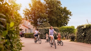 A residential street with houses, a driveway, and greenery.