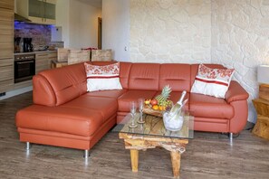 Smart TV, fireplace, DVD player, books