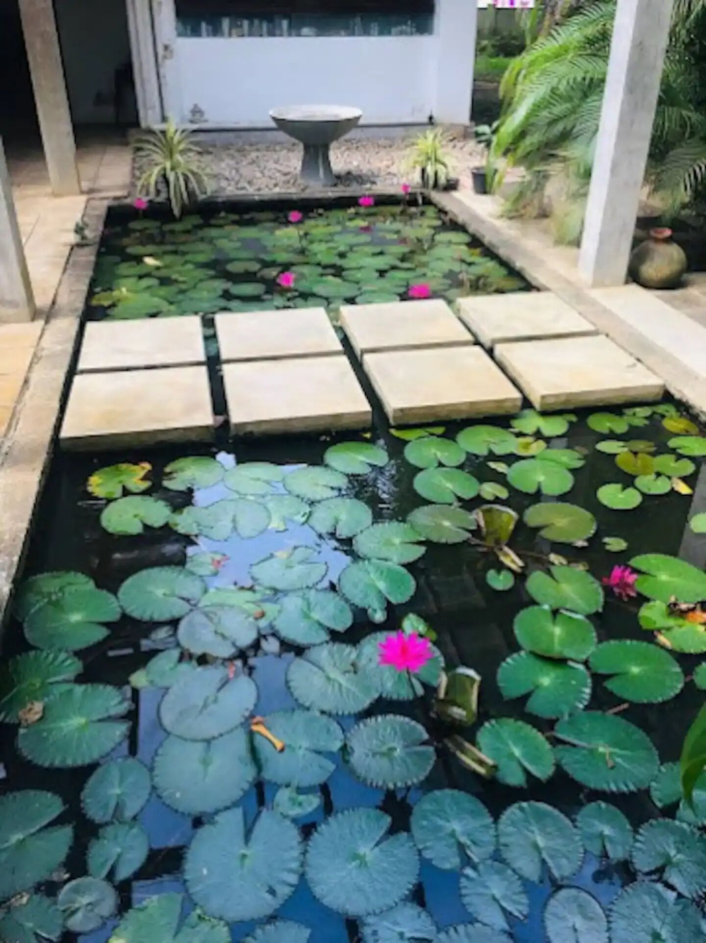 Enceinte de l’hébergement