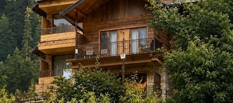 The Hillside Kasol