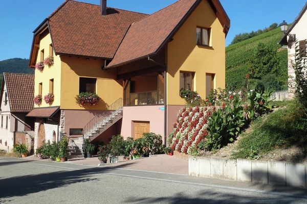 Front view