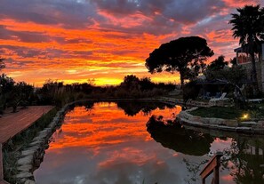 2 piscines extérieures, parasols de plage, chaises longues