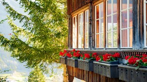 A wooden building with large windows and a balcony with red flowers.