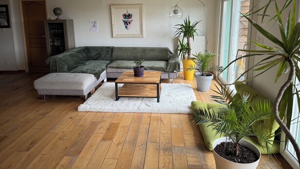 A modern living room with a sectional sofa, a coffee table, and several potted plants.