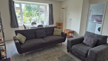 Smart TV, fireplace, DVD player, books