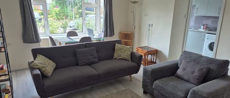 Smart TV, fireplace, DVD player, books