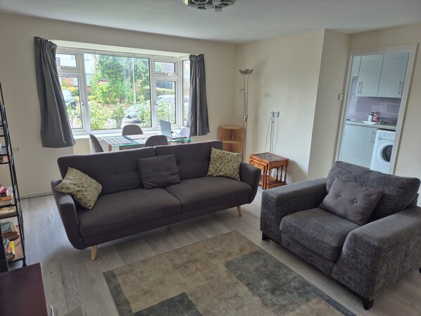 Smart TV, fireplace, DVD player, books
