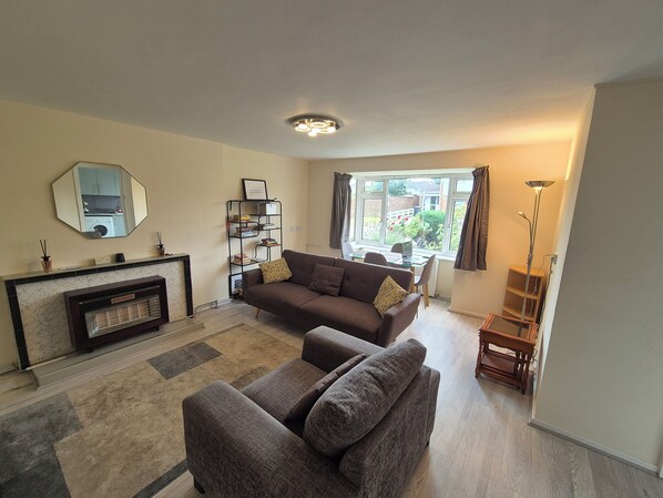 Smart TV, fireplace, DVD player, books