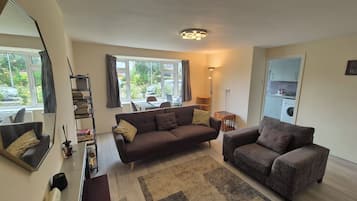 Smart TV, fireplace, DVD player, books