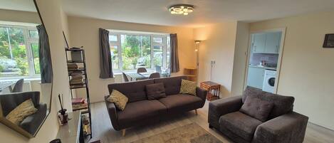 Smart TV, fireplace, DVD player, books