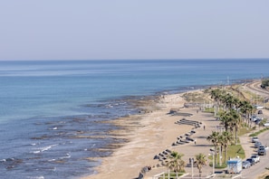 A coastal road with a beach on the right, lined with palm trees and parked cars. - Carmel Seaside Sunny Stays by Sea N Rent (Haifa)