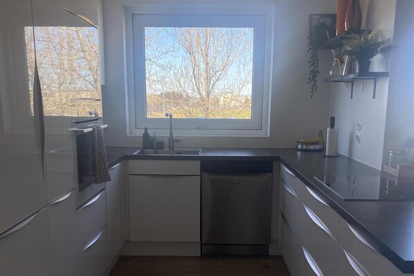 Fridge, oven, stovetop, dishwasher