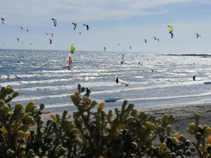 Ein Strand mit Windsurfern und Fallschirmspringern.