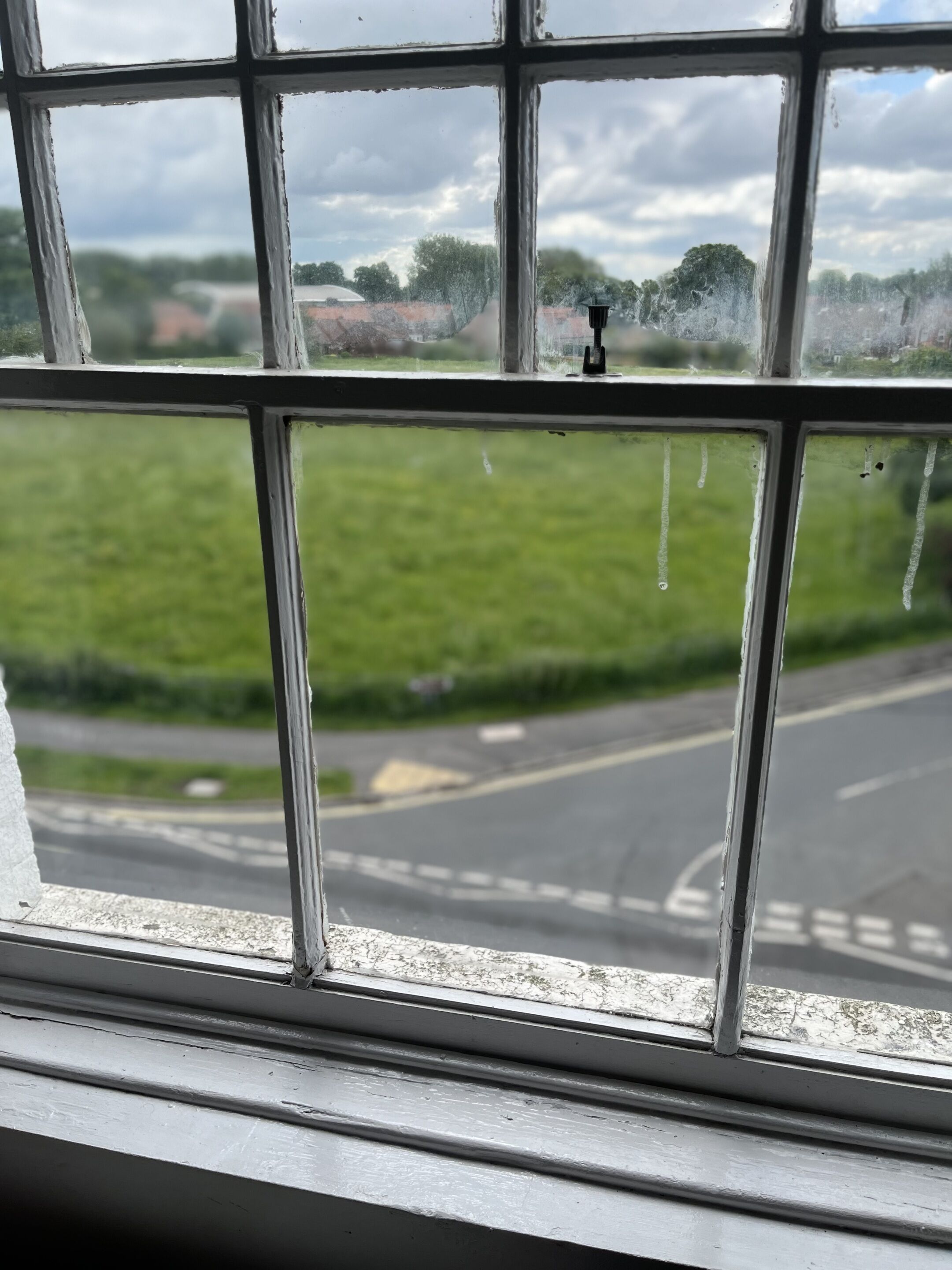 A window with a view of a road and greenery.