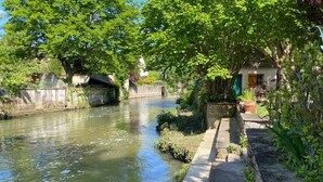 A narrow waterway with a stone bridge, a concrete pathway, and lush greenery.