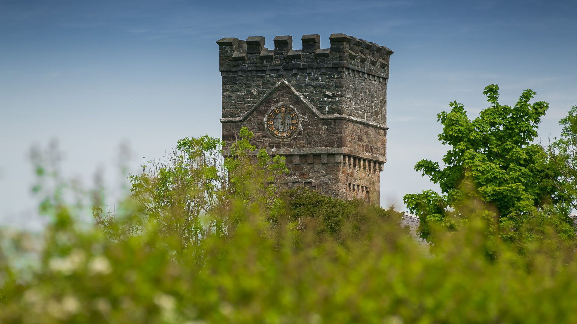 Una torre de piedra con un reloj, rodeada de vegetación.