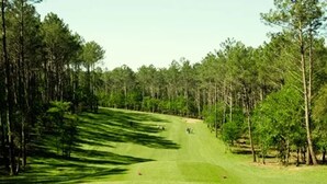 En golfbana med en välskött fairway, träd längs sidorna och en klar himmel.