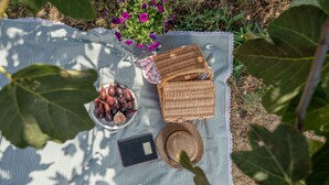 Un montaje para un picnic con una manta a cuadros, una cesta, un plato de higos, un sombrero y un libro.