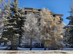 Un bâtiment moderne doté de nombreux balcons, entouré d’arbres couverts de neige.