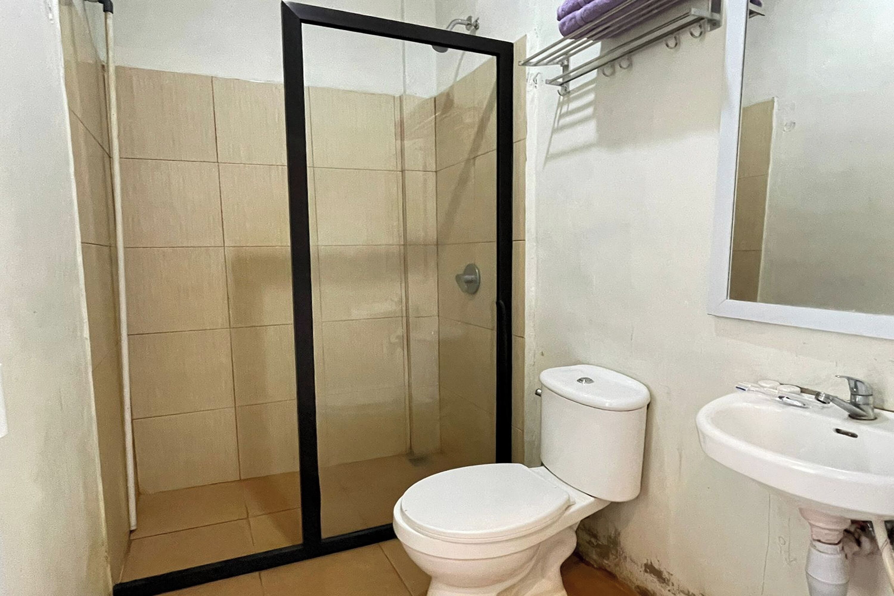 A bathroom with a shower enclosure, toilet, and sink.