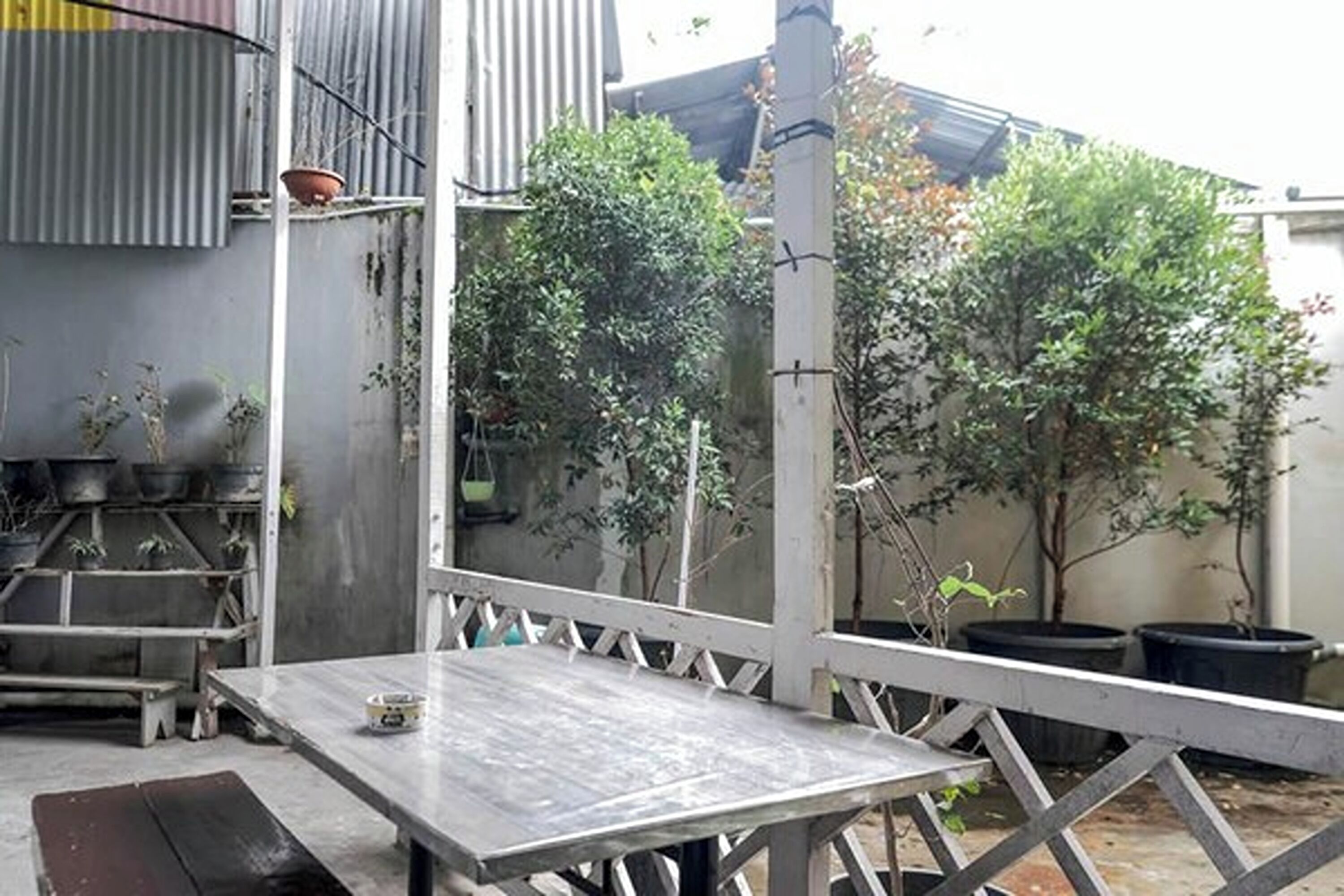 An outdoor patio with a metal table and benches, surrounded by potted plants and trees.