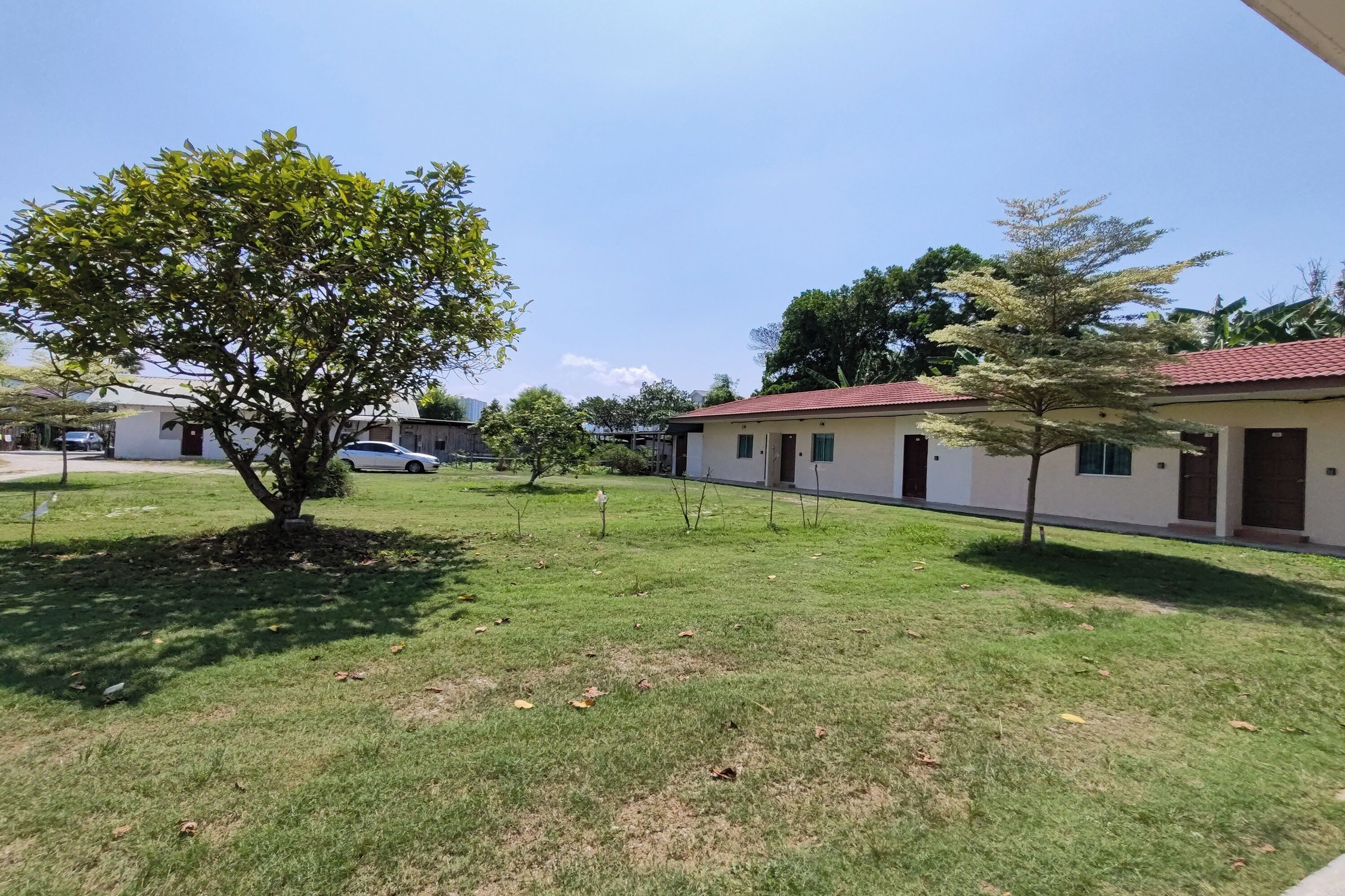 A grassy courtyard with a few trees and a building with a red roof.
