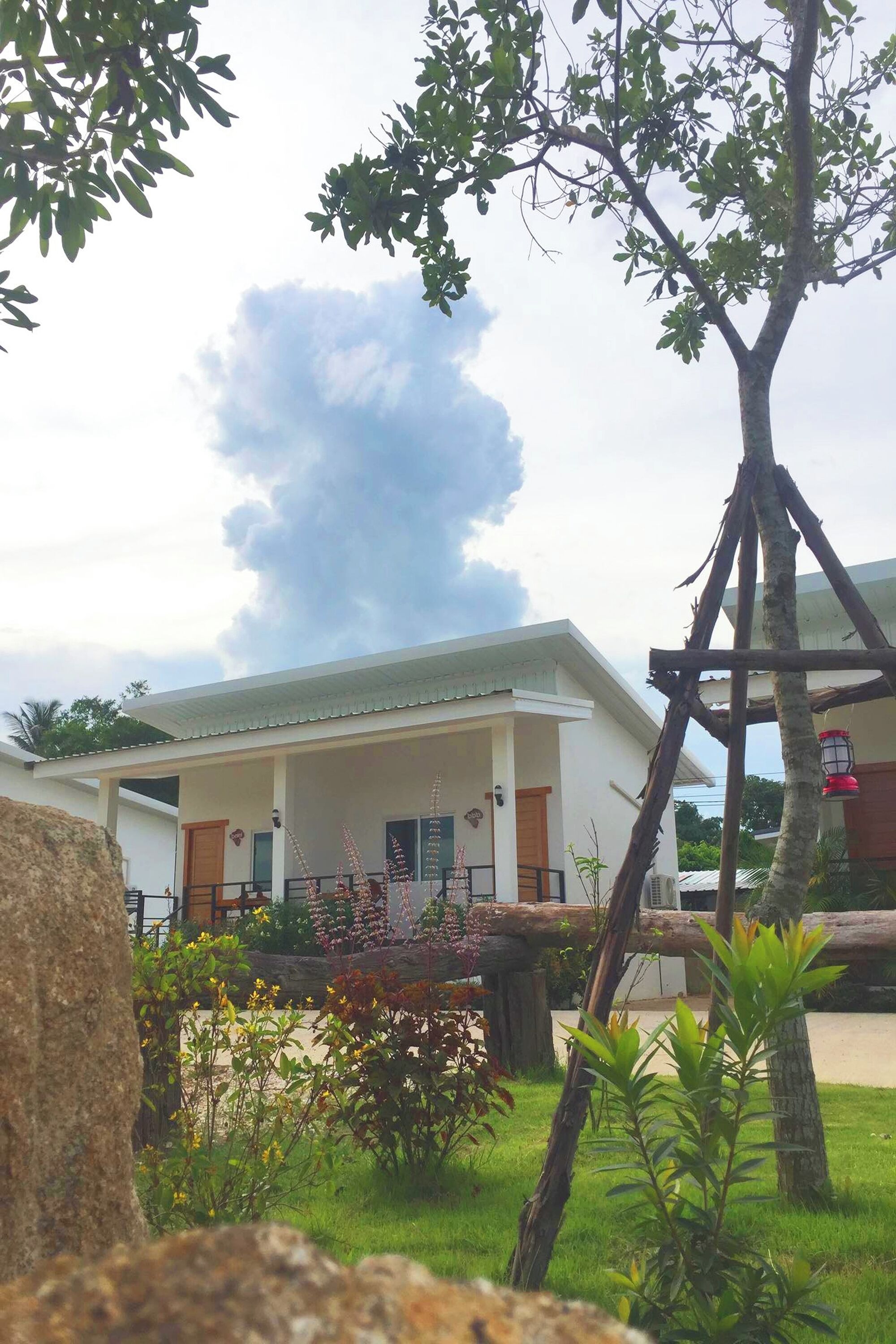 Vista desde la habitación