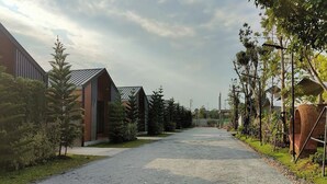 Unclassified image, 3 of 74, button - Triple M Resort (Udon Thani)
